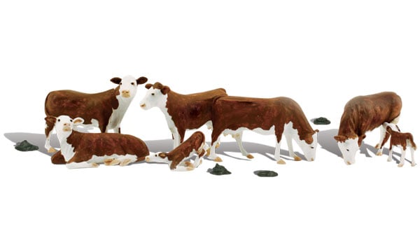 HO - Hereford Cows