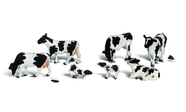 HO - Holstein Cows