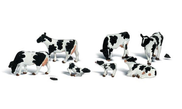 HO - Holstein Cows
