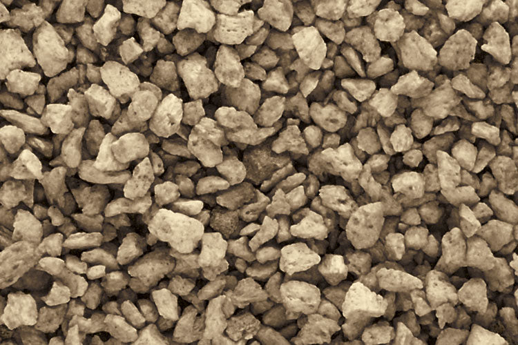 Medium Talus: Brown