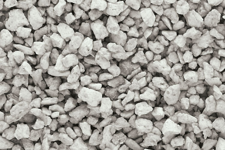 Medium Talus: Gray