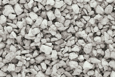 Medium Talus: Gray