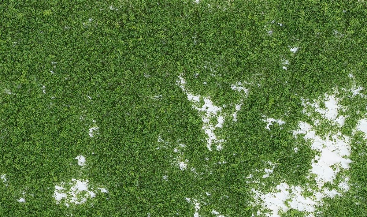 Foliage: Medium Green (Bag)