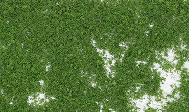 Foliage: Medium Green (Bag)