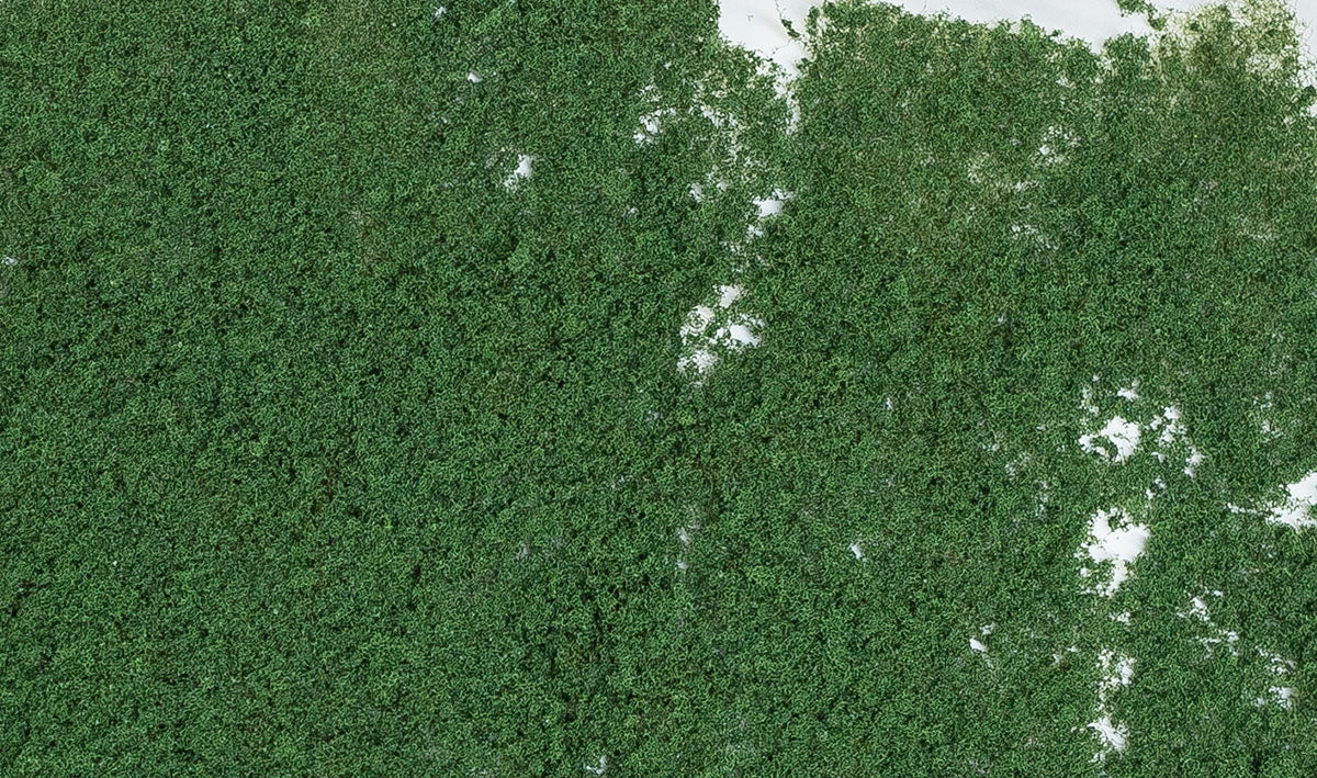 Foliage: Dark Green (Bag)