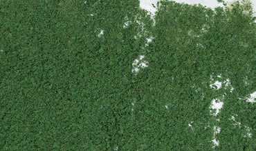 Foliage: Dark Green (Bag)