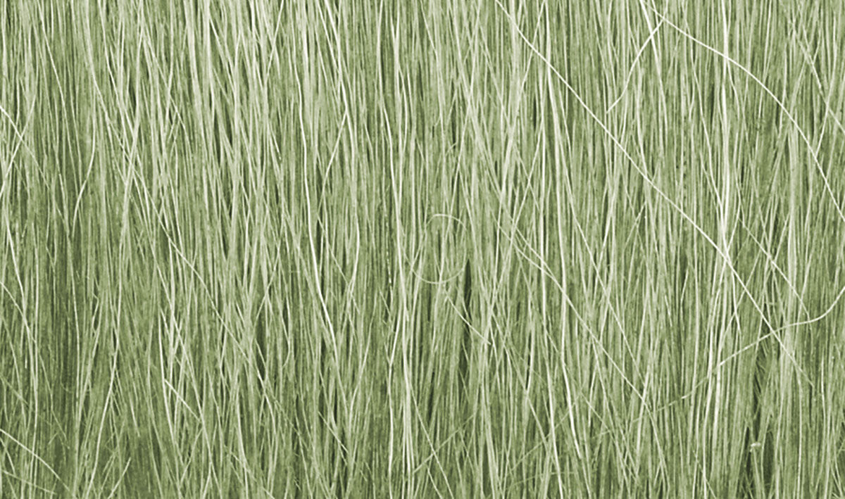 Field Grass: Light Green