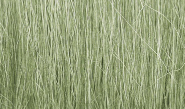 Field Grass: Light Green