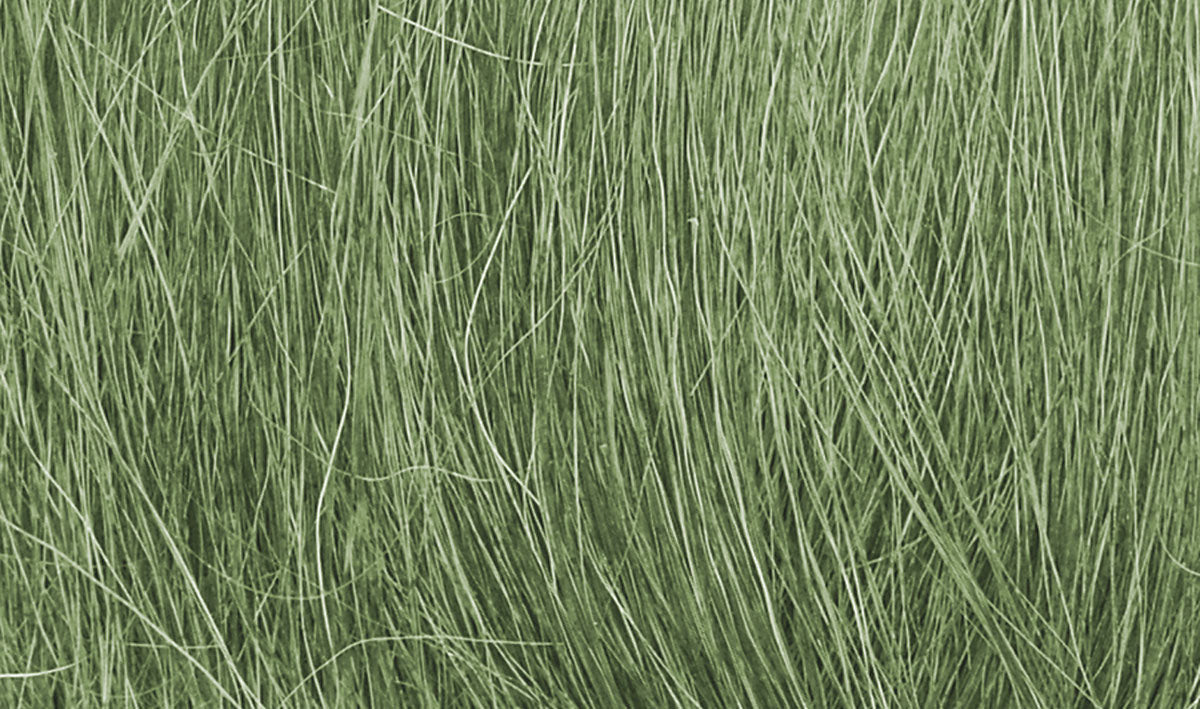 Field Grass: Medium Green