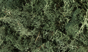 Lichen: Dark Green (Small Bag)